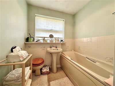 Picture 14
